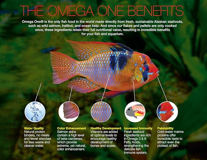 Omega One Adult Turtle Sticks, Floating, 11 mm, 2 lb Bucket