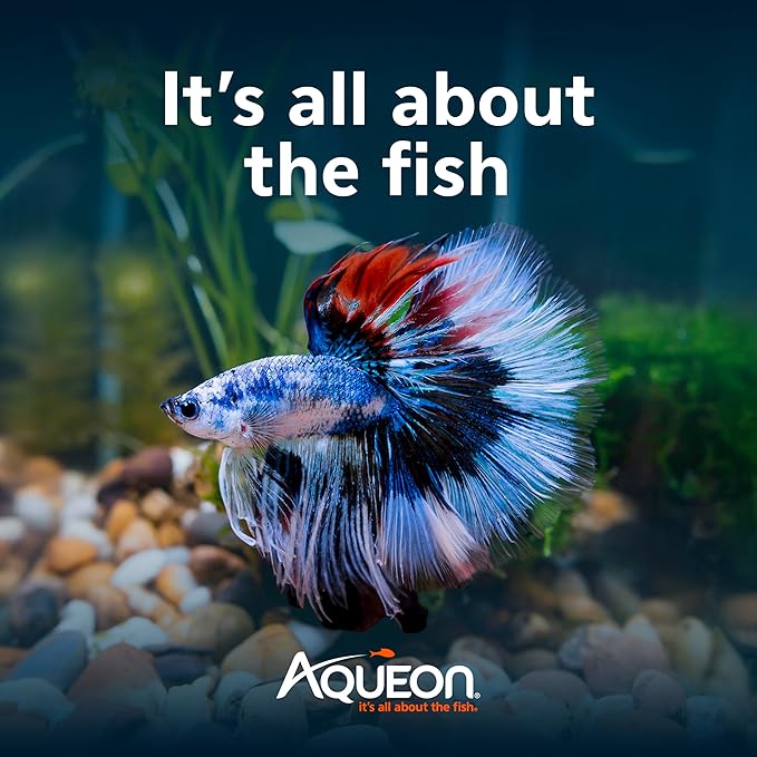 Aqueon 00800198: Aquarium Kit BettaBow Led Blk 2.5G
