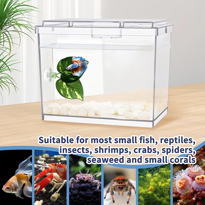 MoonOrange Mini Betta Fish Tank, Small Fish Bowl for Temporary Space, 0.2 Gallon Stackable Cube Tank with Betta Leaf and Gravels for Small Fish, Insect, Shrimp, Crab, Spider.(Pack-1)