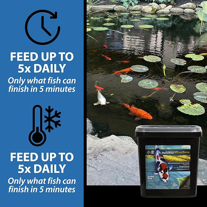 CrystalClear WheatGerm Fish Food—Protein-Rich Floating Pellets for Cold Freshwater Ponds, Ideal in Cooler Spring & Fall Seasons - 2.2 Pound Bucket
