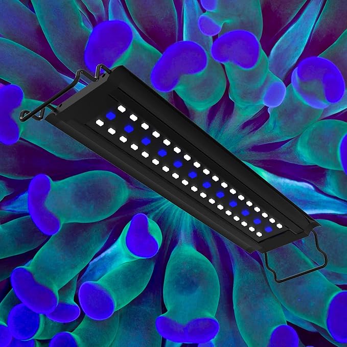 Aquatop LED Aquarium Blue Light - SkyAqua Blue, Actinic Spectrum, Fits 12-18-Inch Tanks, Aquarium Lights for Fish Tank, UL & CSA, LED Blue Light for Natural Moonlight Illumination