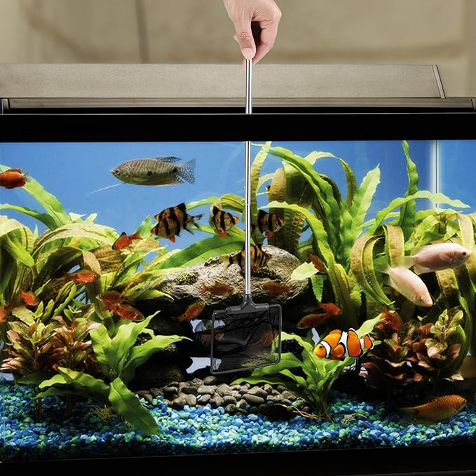 Mogoko Aquarium Fish Net, 10.8" x 16.3" Rectangular Fish Net with 5.5"-16.3" Extendable Telescopic Plastic Handle, Fine Mesh Nylon Fish Tank Accessory