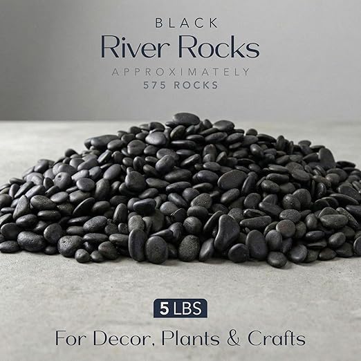 River Rocks Decorative Ornamental Vase Filler 0.5" - 0.75" Black Aquarium Gravel 5 lbs - Landscaping Pebbles for Indoor Plants, Succulents, Terrarium & Home Decor, DIY & Crafting – Royal Imports