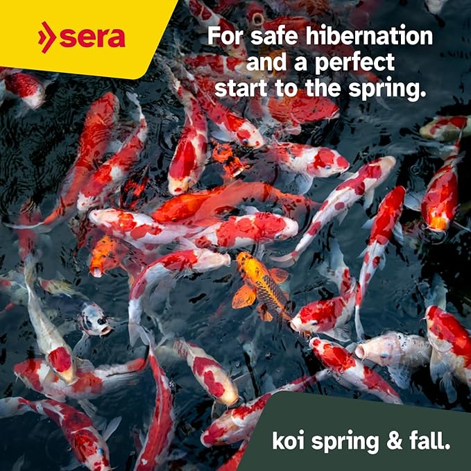 Sera Koi Professional Spring & Fall Food 15.43lb| Floating Pellets for Immune Support & Condition | for Temperatures Below 63°F | Enriched with Vitamins & Omega Fatty Acids