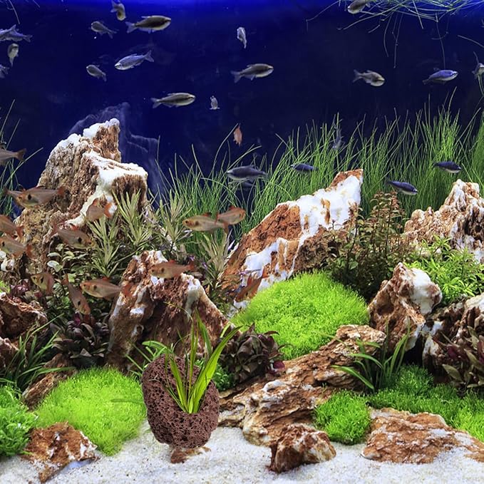 IMIKEYA 6Pcs Lava Rock Aquarium Decor: Natural Volcanic Stones for Fish Tank Landscape Porous Aquarium Rocks for Aquascaping, Terrarium Landscaping