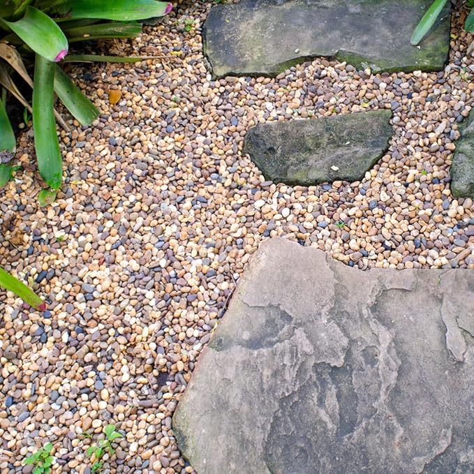 YISZM 20lbs Natural River Rocks, 1/4" Aquarium Gravel Small Rocks for Plants Pea Gravel for Fish Tank, Decorative Pebbles for Gardening, Flower Pots, Vase Fillers, Indoor Water Fountains, Landscaping
