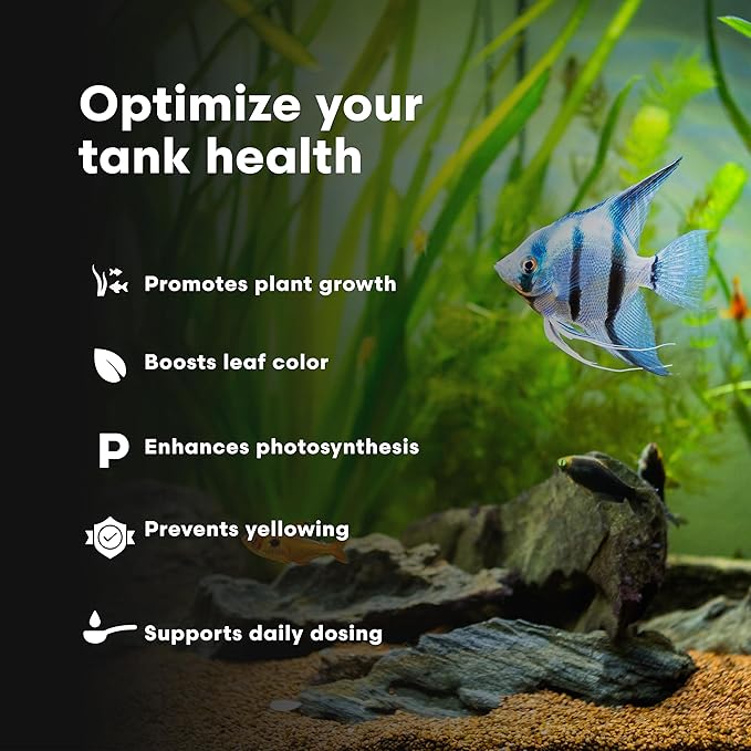 Brightwell Aquatics Florin-Fe Iron Supplement for Planted Aquariums – Dual-Action Iron Source for Plant Growth, Chlorophyll & Vibrant Foliage – Daily Dosing, 125 ml