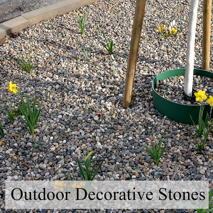 FANTIAN 20 lbs Pea Gravel Pebbles for Indoor Plants, 2/5 Inch Mixed Color River Rocks for Aquarium, Succulent, Vase, Bonsai, Garden, Plant Soil Cover and Outdoor Landscaping Rocks
