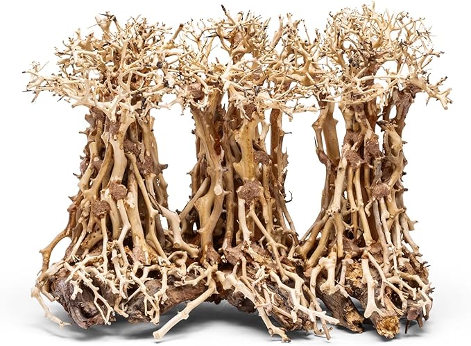 Ultum Nature Systems Bonsai - Handcrafted Hardscape Driftwood for Aquarium, Terrarium, Vivarium, Natural Aquascape Hardscape Decorations, Aquascaping Hardscape for Live Aquatic Plants - 005, X Small