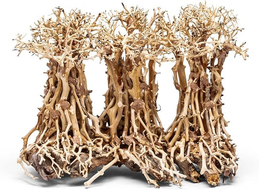 Ultum Nature Systems Bonsai - Handcrafted Hardscape Driftwood for Aquarium, Terrarium, Vivarium, Natural Aquascape Hardscape Decorations, Aquascaping Hardscape for Live Aquatic Plants - 005, X Small