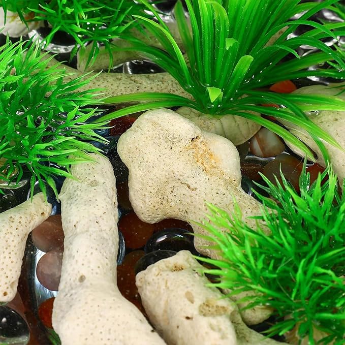 10cm 500g Crushed Coral, Fish Tank Filter Media, Aquarium Filter Material, Tank Pond Fish Tank Media Decoration for Aquarium Fishtank Freshwater Sea Water