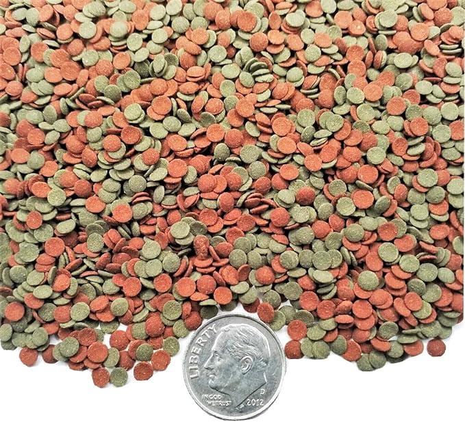 3.5mm - 1/8" Micro Wafer Mix of Spirulina Algae & Intense Color Enhancing Sinking Micro Wafers for Catfish, Plecos, Bottom Fish, Shrimp, Crabs, All Tropical Fish..11oz Small Jar