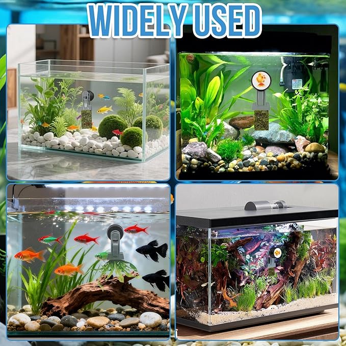 Goldfish Feeder, Saltwater Aquarium Accessories Supplies Algae Magnet Seaweed Feeder Aquarium Magnetic Clips, Fish Tank Feeding Ring Suitable for Aquatic Pets