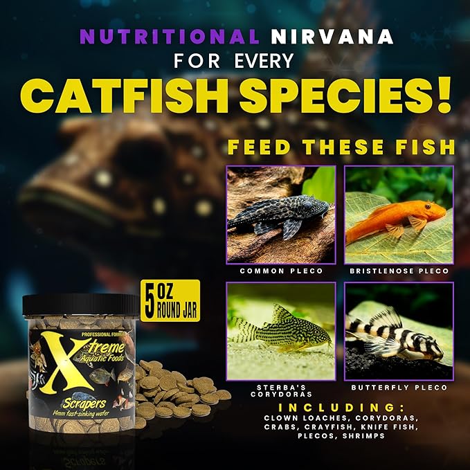 Xtreme Scrapers Wafers - Premium 14mm Fast-Sinking Fish Food – Nutrient & Cellulose Rich Ideal for Nocturnal Feeders, Catfish, Plecostomus Species, and Loaches – USA Farm Grown (5oz)