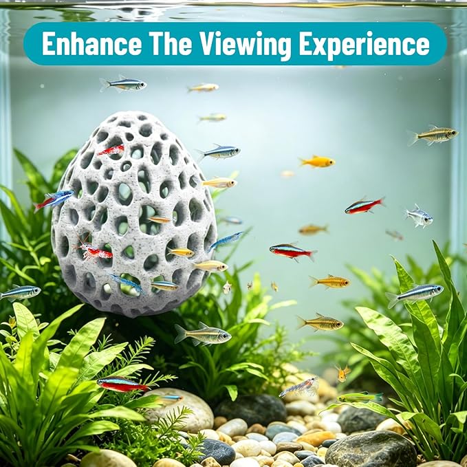 Obfuscate Shrimp Cave,Shrimp Hides for Aquarium,Porous Coral Rock Aquarium Decor with Suction Cup,Fish Tank Hideout for Small Fish,Shrimp and Guppies