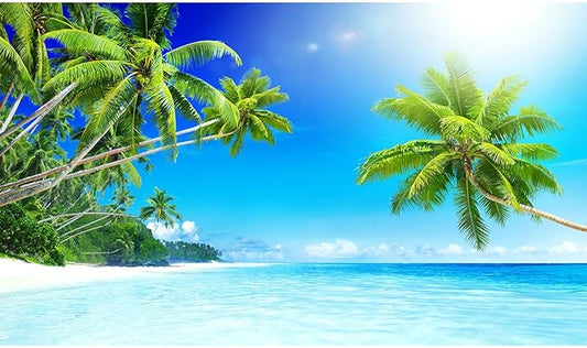 Sandbeach Fish Tank Background Tropical Ocean Paradise Island Aquarium Background Sea Beach Seascape Terrarium Backgrounds Sunray Blue Sky Seacoast Ocean Sea Waves Reptile Tank Backgrounds 30x12in
