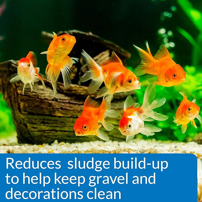 API Goldfish Protect Aquarium Water Conditioner 4-Ounce Bottle (Pack of 2)