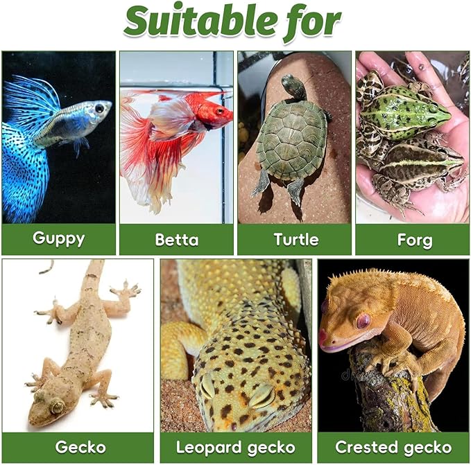 PINVNBY Small Fish Tank Decorations (Size: 5.5 x 2.9 x 2.9 inches), Resin Rock Aquarium Decorations Fish Cave or Reptile Hide to Rest Play Breed, Suitable for Small Betta Humid Gecko Tortoise