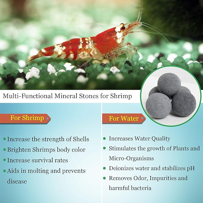 SunGrow Catappa Leaves and Calcium Balls for Shrimps, Water Conditioner for Clear Water, Improves Overall Well-Being, Vibrant Colors, Stronger Exoskeleton, 10 Pcs Each