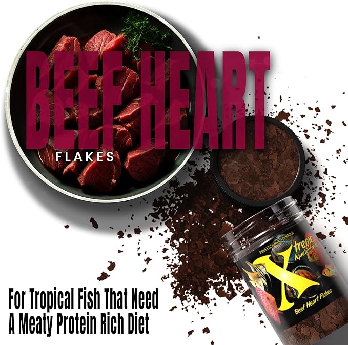 Xtreme Beef Heart Flakes - High Protein, Nutrient-Dense for Tropical & Freshwater Fish, Supports Growth, Color Enhancement, Easy Digestion - Ideal for Discus and Cichlids (1oz)