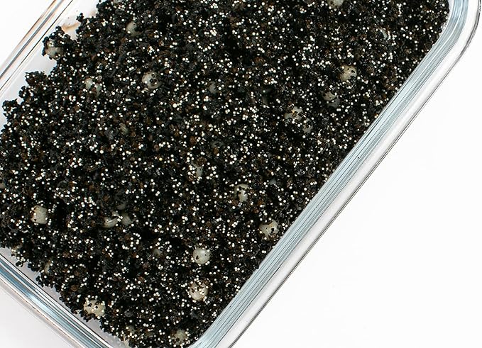 Kolar Labs Clear Complete – Comprehensive, Fast-Acting, Pre-Rinsed, Organic Waste Removal Plus Nitrate and Phosphate Reduction Filter, Medium 2 Packets
