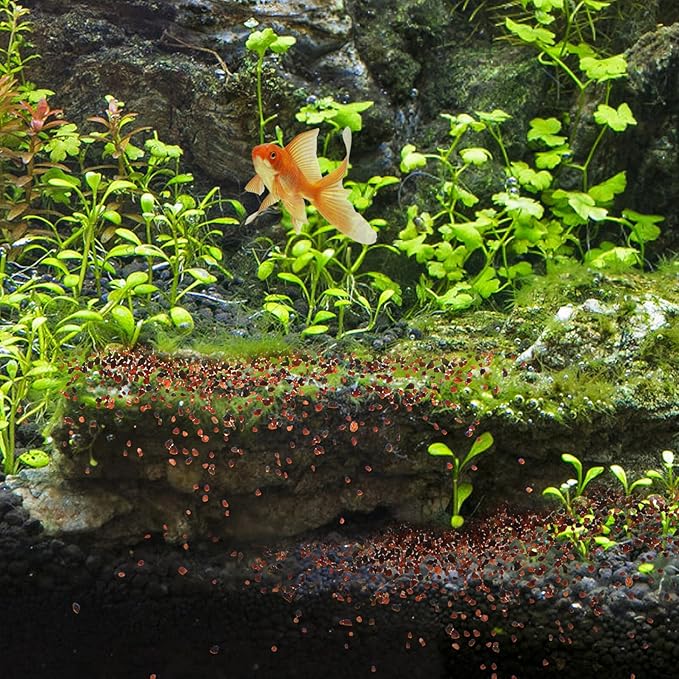 Natural Aquarium Gravel Substrate 500g Bulk Fish Tank Stones for Aquarium Landscaping and Vase Fillers, Natural Sand Gravel for Freshwater Fish Tanks and Garden Decoration