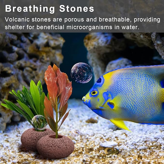 Stone Plant Weights for Aquarium Natural Rock Decorative 6 Pcs Fish Tank Landscape Plant Weights