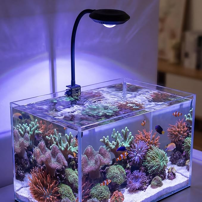 hygger Saltwater Aquarium Light - 35W Dimmable Full Spectrum with 3 Light Modes & Timer, 24/7 Auto Cycle for Refugium, Soft Corals, LPS Marine Tanks, Flexible Gooseneck Mount with Clip