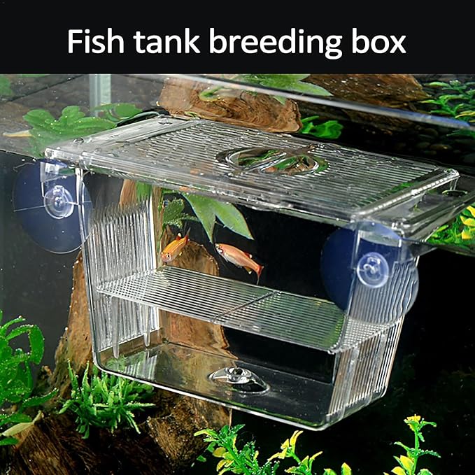 Generic Fish Breeding Tanks - Acrylic Hatchery Incubator Tank, Fish Tank Divider Acclimation Box | Floating Design Baby Fish Tank for Baby Fishes, Shrimp, Clownfish, Guppy, Aggressive Fishes