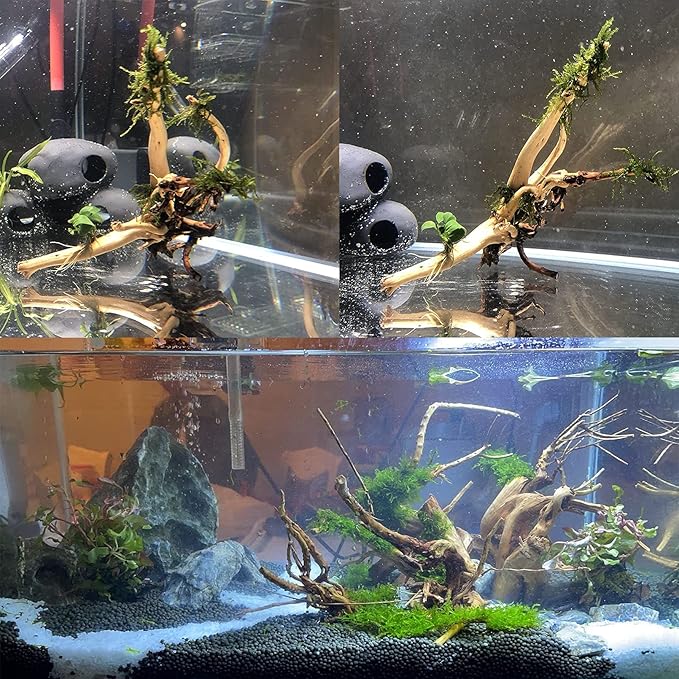 kathson Aquarium Driftwood Reptile Branches Wood Natural Spiderwood Driftwood for Aquarium 7-8" 5 Pcs Terrarium Ornament Trunk Fish Tank Log Habitat Decoration Tree Stump Decor Assorted Sizes Wood