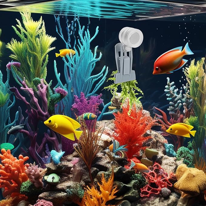 Magnetic Seaweed Feeder Clip, Plastic Algae Feeding Clip Saltwater Automatic Fish Feeding Ring Fish Aquarium Accessories for Aquatic Pets