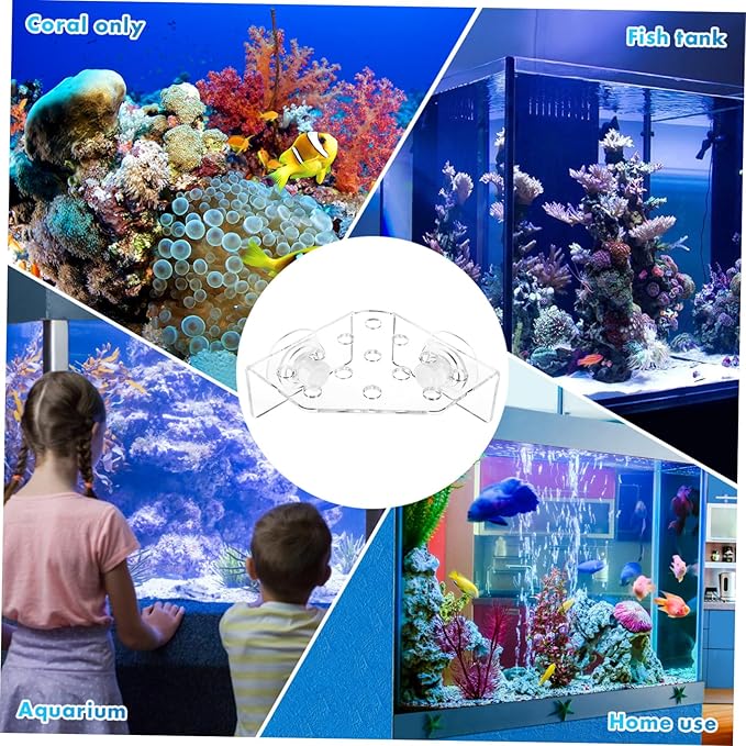 POPETPOP Coral Rack- Transparent Fish Tank Coral Holder with Suction Cup Acrylic Coral Bracket Base for Aquarium Fish Tank- 13 Plug Holes