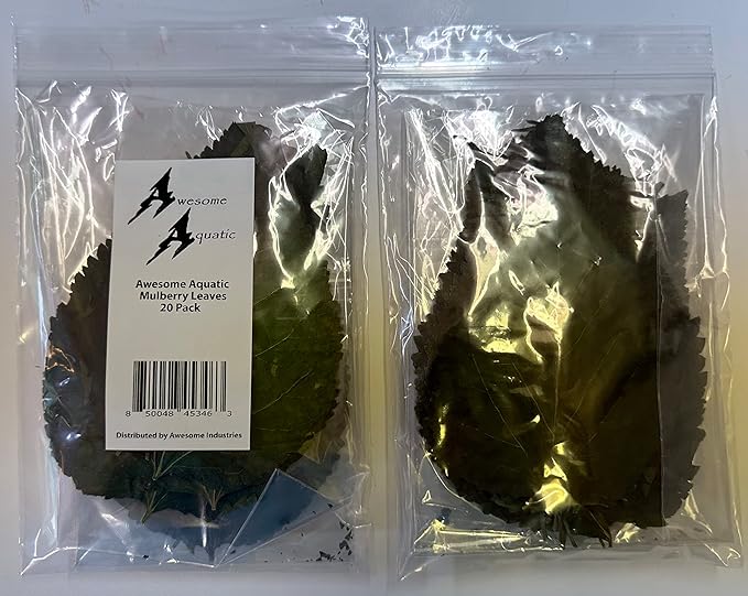 Awesome Aquatic Mulberry Shrimp Leaves Natural Botanical Leaf Food Organic Treat Aquarium Fish Shrimp Terrarium High Protein Vitamin Mineral Fiber Healthy Habitat Environment (Mulberry 20 pk)