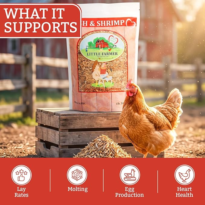 Fish & Shrimp Chicken Treats with Dried Shrimp and Freeze Dried Minnows, High Protein Chicken Snacks with Omega 3 and Calcium for Chickens and Ducks - 1 lb