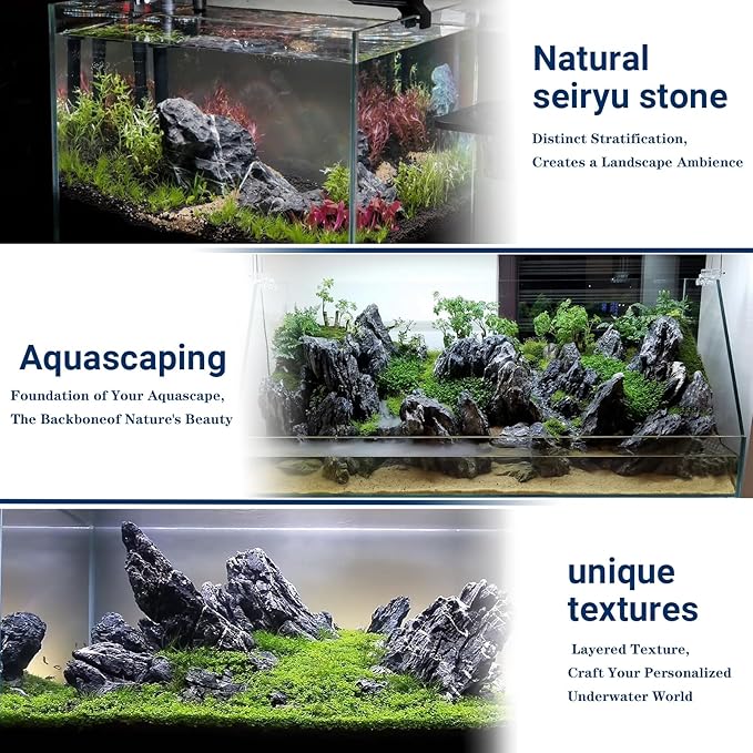 Natural Rocks Seiryu Stones Aquariums Stones for Aquascaping, Aquariums, Terrariums, Vivariums Decorative Stone,Reptile Enclosures,Paludariums,and Gardens-10lb（2 to 7 inch）