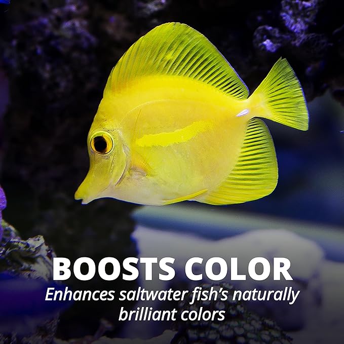 Tetra TetraMarine Large Saltwater Flakes for All Marine Fish
