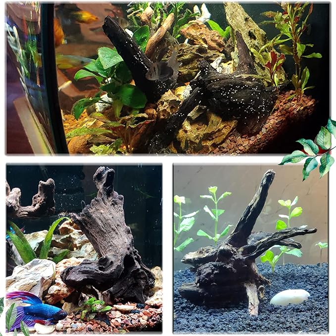 Tfwadmx Natural Driftwood for Aquarium Decor-9-14 Assorted Large Driftwood,Fish Tank Drift Wood Decoration, Freshwater Wood Branches Ornament for Reptile Terrarium,Air Plants