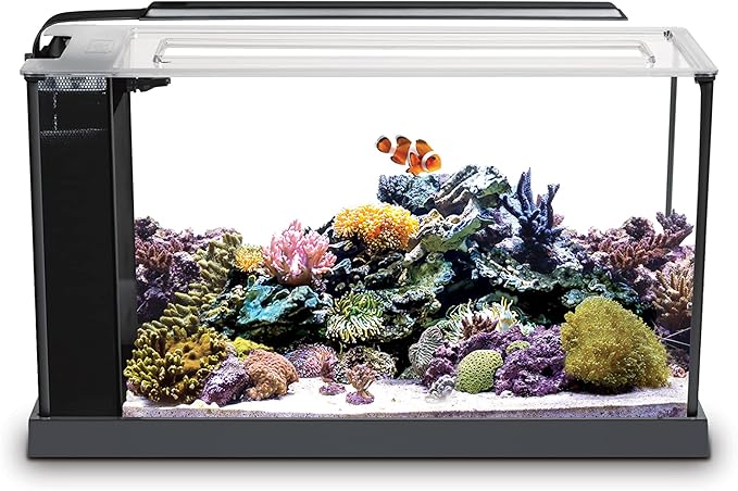 Fluval Sea Evo V Saltwater Fish Tank Aquarium Kit, Black, 5 gal, 10528A1