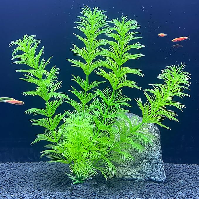 Silk Aquarium Plants, Artificial Fake Aquarium Plants Small Betta Fish Tank Plants Plastic Realistic Decorations Set 3PCS (Style C)