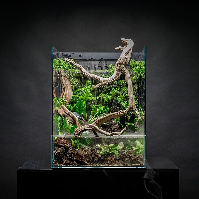 Ultum Nature Systems Foresta Mat - Aquarium Starter Kits, Accessories & Terrarium Supplies for Paludarium Tank w/Aquatic & Terrestrial Live Plant Display & Ideal Water System, 4 x 4 in - Pack of 6