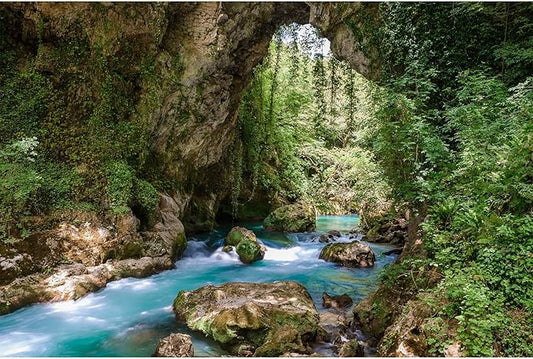 Mountain Rainforest Aquarium Background Valley Cave Stream Fish Tank Background Green Trees Rocky Mountain Reptile Tank Backgrounds Natural Forest Lake Green Meadow Reptile Tank Backgrounds 36x18in