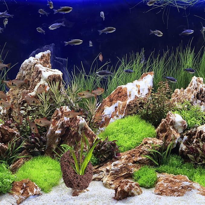 Yardwe Aquarium Rocks Volcanic Rocks 6Pcs Decorative Rocks Fish Tank Aquarium Landscape Ornaments (Random Color)