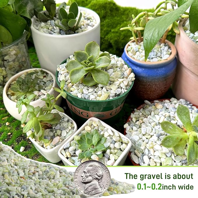 45lb Jade Bean Stone,1/4 Inch Bonsai DIY Rocks, Natural Succulent Rock and River Rocks Decorative for Aquariums, Vases, Terrarium, Outdoor Gardening, Top Dressing for Potted Plants
