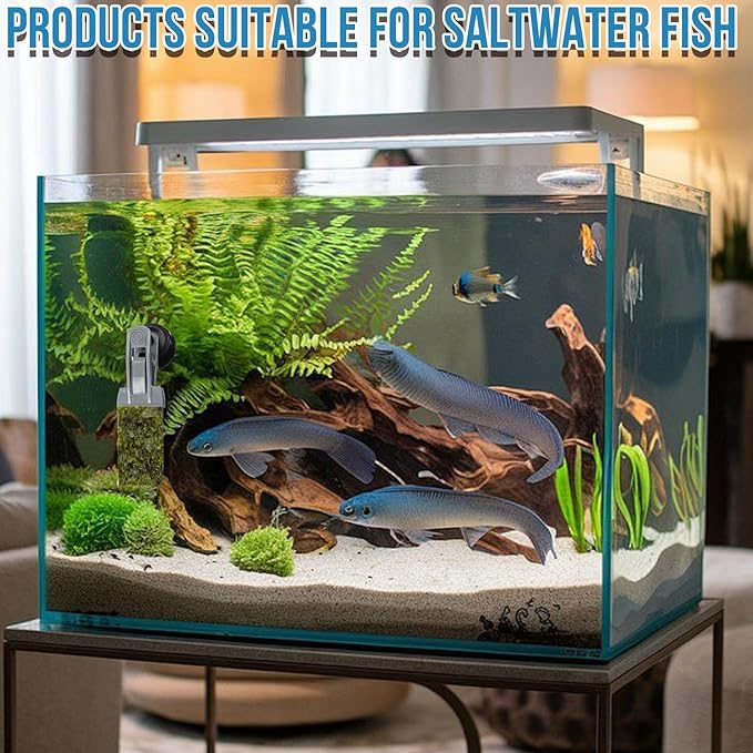 Goldfish Feeder, Saltwater Aquarium Accessories Supplies Algae Magnet Seaweed Feeder Aquarium Magnetic Clips, Fish Tank Feeding Ring Suitable for Aquatic Pets