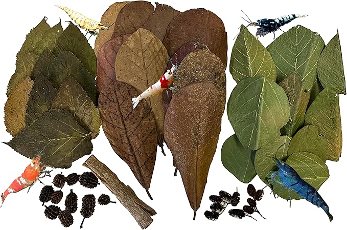 Awesome Aquatic Shrimp Combo Kit 10 Each Catappa, Mulberry and Dadap Leaves, Alder & Casuarina Cones, 10 g Catappa Bark and 1-6 inch Cholla Wood