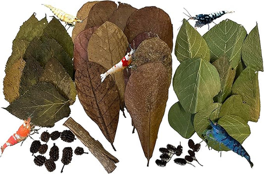 Awesome Aquatic Shrimp Combo Kit 10 Each Catappa, Mulberry and Dadap Leaves, Alder & Casuarina Cones, 10 g Catappa Bark and 1-6 inch Cholla Wood
