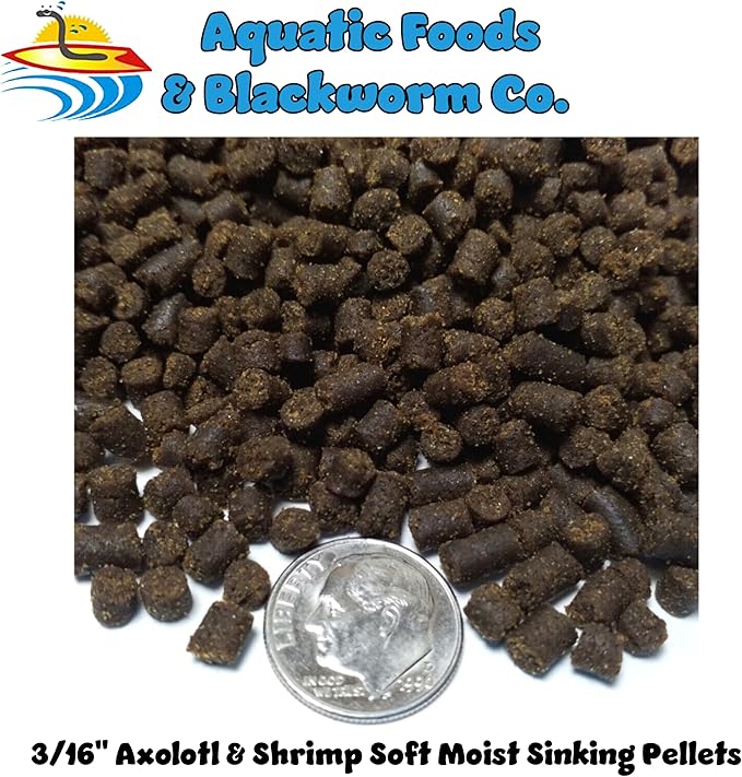 Axolotl Food, 3/16" Soft Moist Sinking Pellets, Rangen's Salmon Meal Pellets for Medium & Adult Axolotl. Also Shrimp, Snails, Crabs, All Tropical Fish...11oz Small Jar