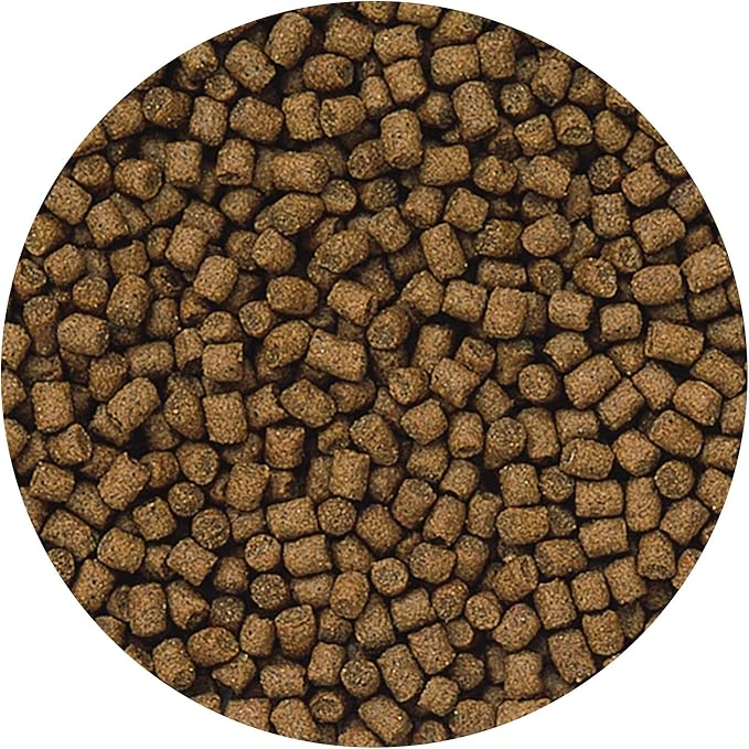 Hikari Lionhead Sinking Mini Pellets, 3.5 ounces