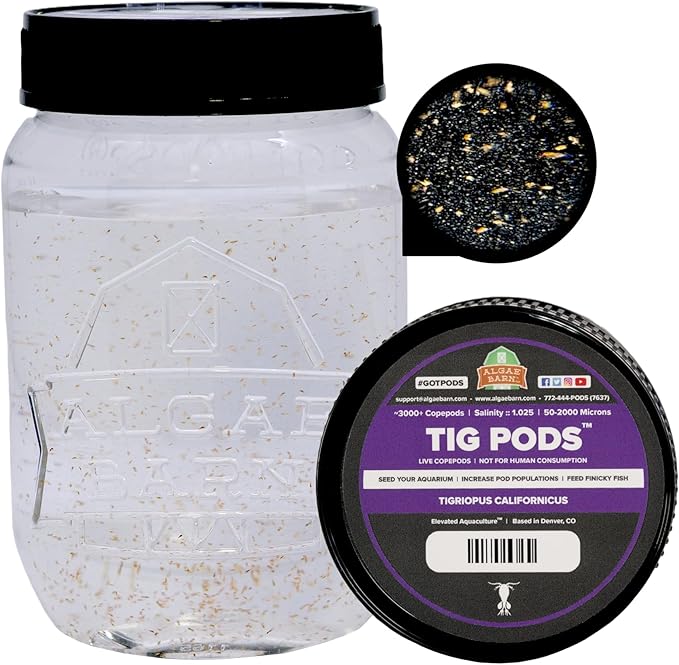 AlgaeBarn Tig Pods :: Live Copepods :: Tigriopus californicus Copepods :: Clean Your Tank :: Mandarin & Finicky Fish Food (3,000+ Pods)