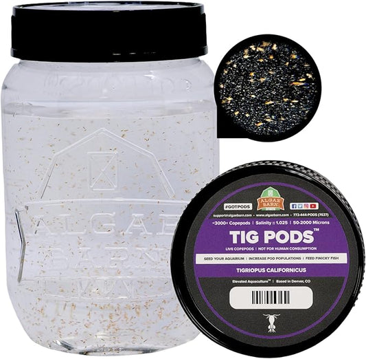 AlgaeBarn Tig Pods :: Live Copepods :: Tigriopus californicus Copepods :: Clean Your Tank :: Mandarin & Finicky Fish Food (3,000+ Pods)